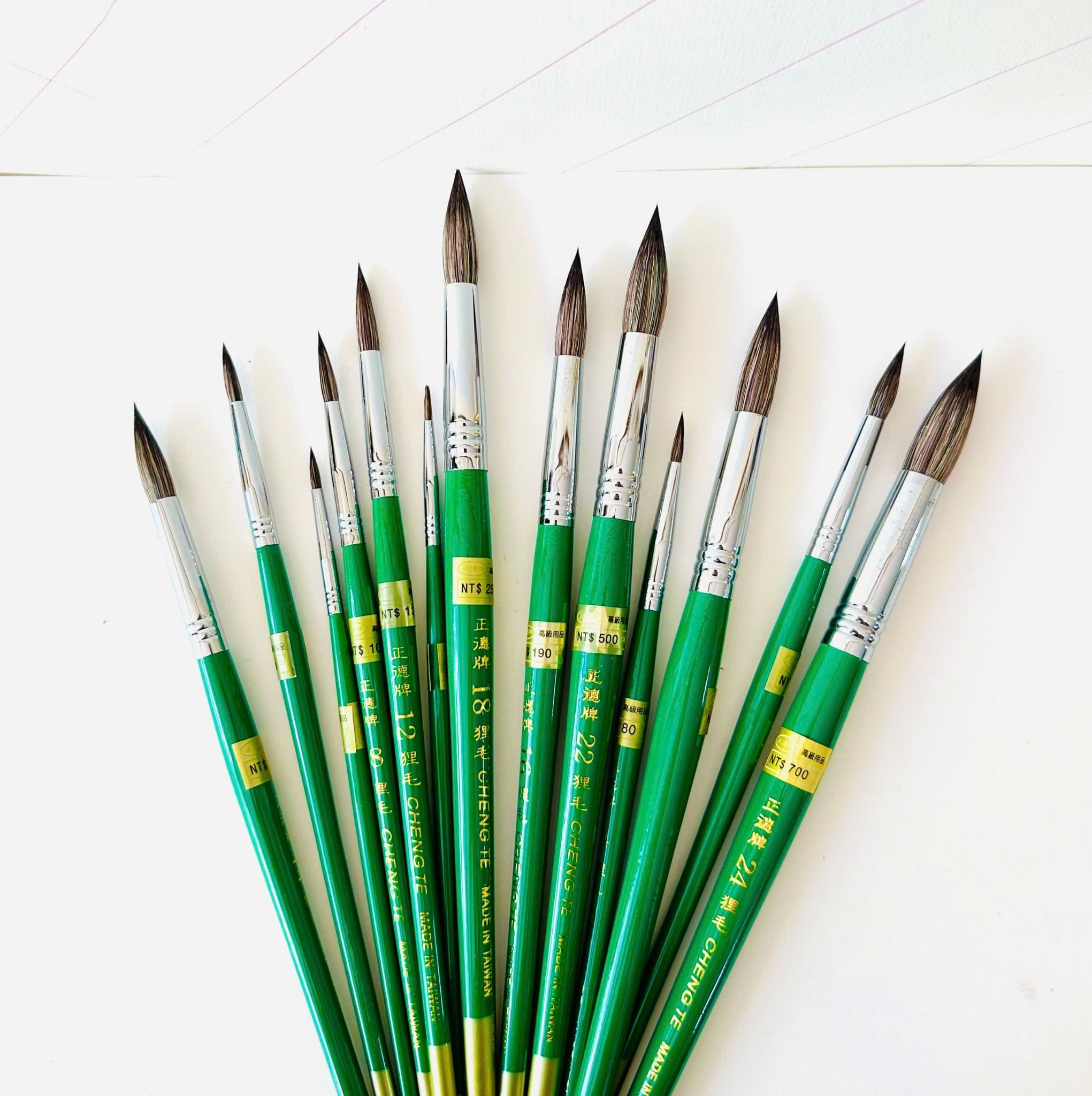 Cọ CHENGTE đầu tròn lông sói thân xanh cao cấp