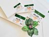 Toan canvas SUNWAY hình chữ nhật và hình vuông