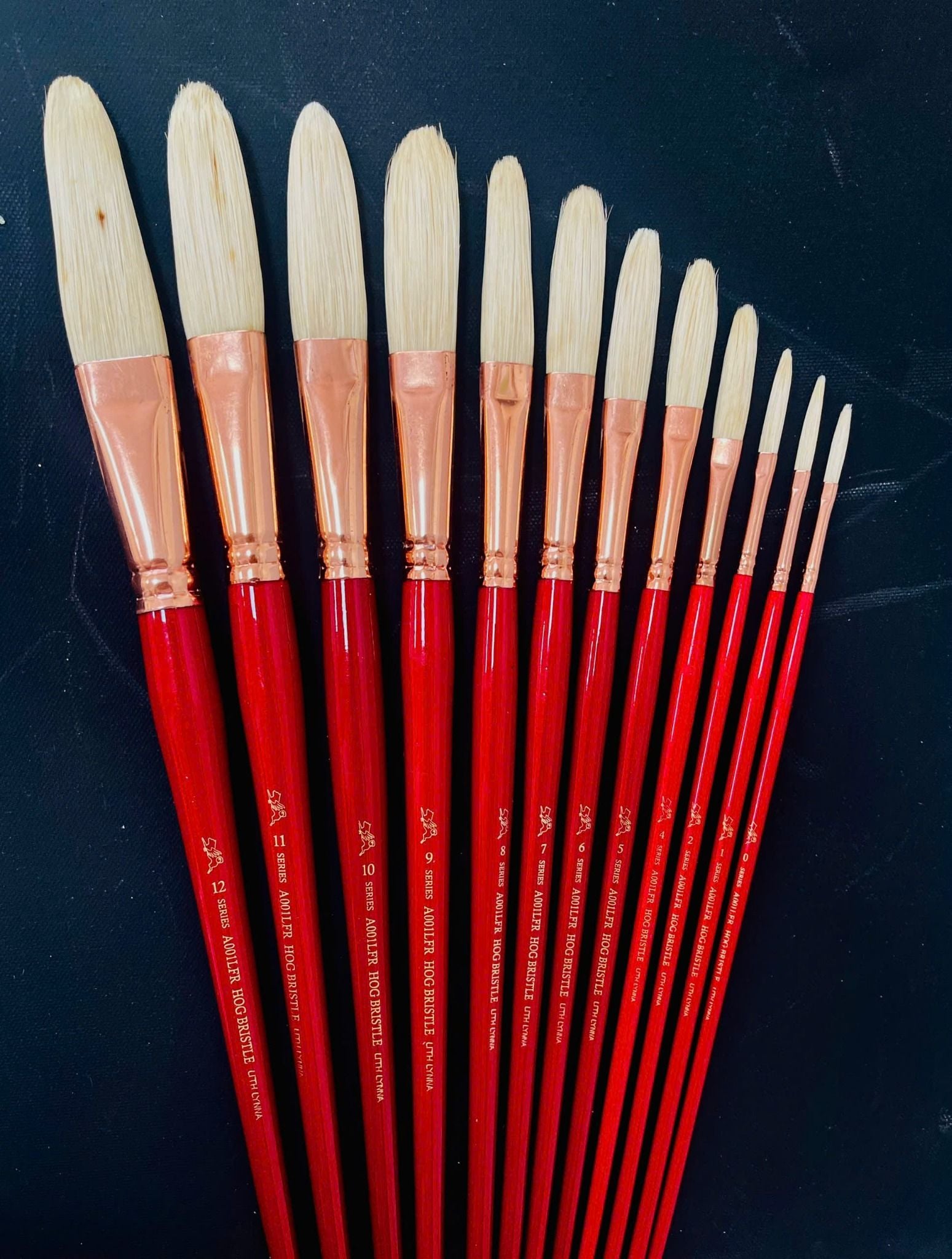 Cọ SUNWAY đầu oval lông lợn cán đỏ đầu lông siêu dài