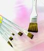 Cọ bộ SUNWAY  6 cây thân bạc lông tổng hợp B304-6 cây
