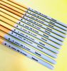Cọ SUNWAY thân xanh pastel đầu bằng lông nhân tạo C584
