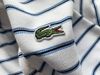 Polo Lacoste trắng kẻ xanh nhỏ