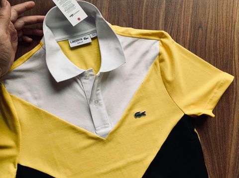 Polo LACOSTE khoang 2 màu