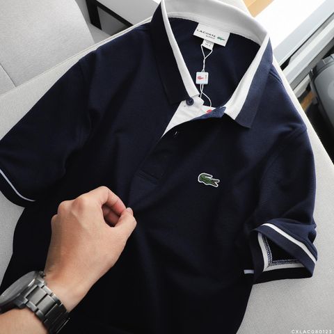 Áo Polo  Lacoste cổ viền màu