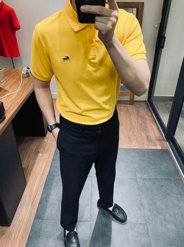 Polo LACOSTE trơn 2 khuy