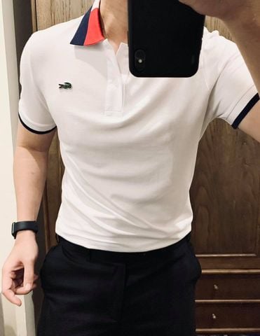 Polo LACOSTE trơn kẻ cổ