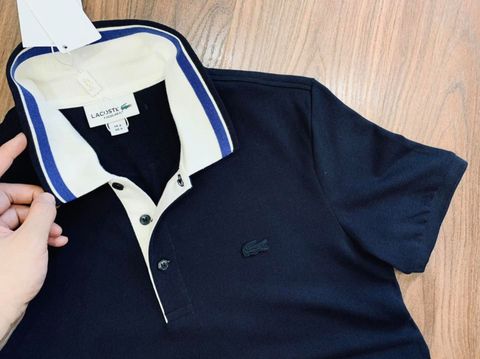 Polo Lacoste kẻ cổ cá cùng màu