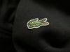 Áo khoác nỉ Bomber Lacoste