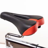  XE ĐẠP TẬP THỂ DỤC SHUA [MÃ SP : SH-B5961S] 