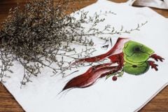 Túi họa tiết cô bé tóc đỏ