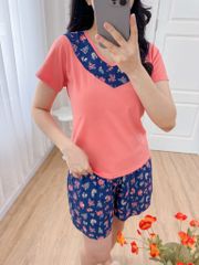 Đồ bộ đùi áo thun có viền cổ quần hoa mùa xuân