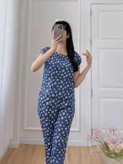 Đồ bộ dài có tay cánh tiên hoa thạch thảo