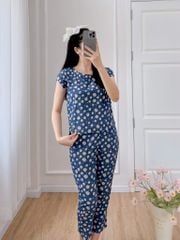 Đồ bộ dài có tay cánh tiên hoa thạch thảo