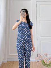 Đồ bộ dài có tay cánh tiên hoa thạch thảo