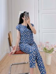 Đồ bộ dài có tay cánh tiên hoa thạch thảo