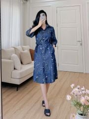 Đầm sơ mi tay lỡ họa tiết chim én mùa xuân