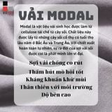 Tất Vớ Sợi Modal Gỗ Sồi Cổ Ngắn Thoáng Khí, Kháng Khuẩn-Khử Mùi Cao Cấp Bizmen - BSC.008