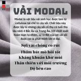 Tất,Vớ Nam Sợi Modal Cao Cấp Cổ Ngắn Kháng Khuẩn Khử Mùi Bizmen - BSC.016