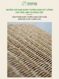 Giỏ Mây Nhựa Đan Tay BAMBOOO ECO Tiện Lợi Thẩm Mỹ Cho Không Gian Sống Gọn Gàng Hiện Đại