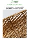 Khay nhựa giả mây chống trượt BAMBOOO ECO đựng đồ khô bánh kẹo hướng dương dùng trong nhà hàng