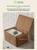 Giỏ Nhựa Giả Mây Có Nắp BAMBOOO ECO Giúp Bảo Quản Đồ Dùng Gọn Gàng Chống Bụi Hiệu Quả