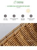 Khay nhựa giả mây chống trượt BAMBOOO ECO đựng đồ khô bánh kẹo hướng dương dùng trong nhà hàng