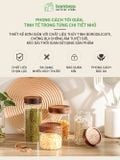 Hũ Thuỷ Tinh Chịu Nhiệt 400°C BAMBOOO ECO Chất Liệu thủy tinh Borosilicate và nắp gỗ keo VSATTP