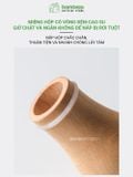 Hộp tăm hình cây nấm BAMBOOO ECO chất liệu gỗ sồi, gỗ óc chó