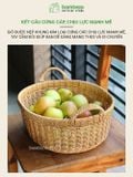 Giỏ Mây Đan Thủ Công Vintage BAMBOOO ECO Đựng Mỹ Phẩm và Đồ Khô Nhà Bếp Có Quai Xách Tiện Lợi