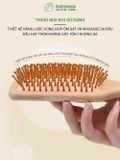 Lược Gỗ Tre Massage Da Đầu BAMBOOO ECO Bằng Tre Thân Thiện Với Môi Trường