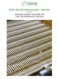 Khay nhựa giả mây BAMBOOO ECO khay đựng hoa quả bánh kẹo decor chụp ảnh cổ điển