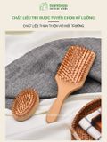 Lược Gỗ Tre Massage Da Đầu BAMBOOO ECO Bằng Tre Thân Thiện Với Môi Trường