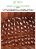 Giỏ Gắn Xe Đạp Đan Thủ Công BAMBOOO ECO Nhiều Màu Sắc, Deo Dai, Dễ Sử Dụng
