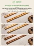 Bộ đũa gỗ tre tự nhiên 10 đôi BAMBOOO ECO an toàn vệ sinh, sử dụng cho gia đình, nhà hàng, khách sạn, đồ dùng nhà bếp