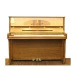 Đàn piano OTTOSTEIN SN121K