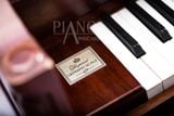 Đàn Piano Rubinstein