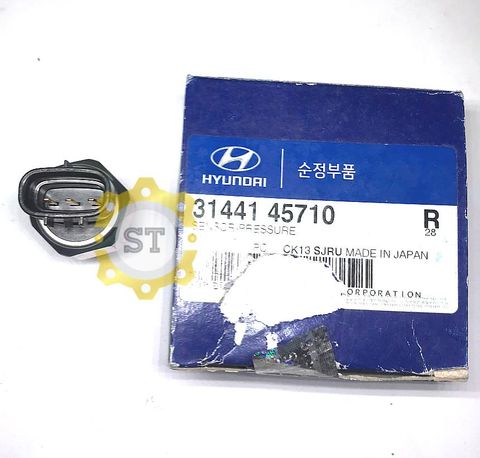 Cảm biến nhiên liệu Hyundai County 3144145710