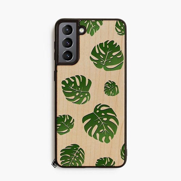 Lá Monstera
