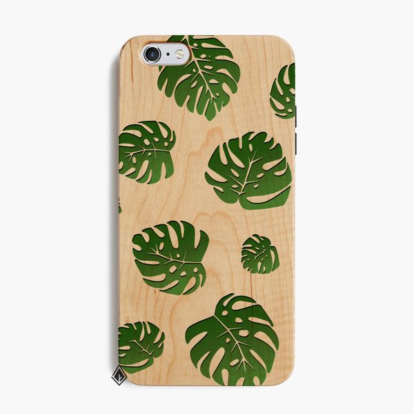 Lá Monstera