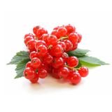  Cherry Đỏ Mỹ Size 9.5 (Hộp 500G) 