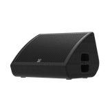  Loa monitor MOOSE CX12A 