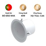  Loa âm trần  MOOSE CS85 