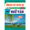  Tổng Ôn Tập Luyện Thi Lớp 9 Vào Lớp 10 Môn Ngữ Văn 