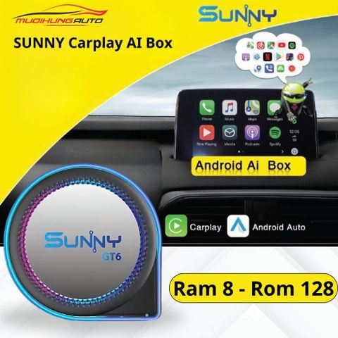 Android Box Sunny GT6