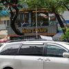 Baga Mui Xe Toyota Sienna