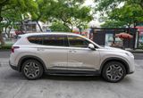 Bệ Bước Chân Mẫu Chấm Bi Dài Cho Xe Hyundai Santafe 2022