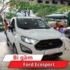 Bi Gầm Ford Ecosport