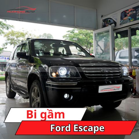 Bi gầm Ford Escape
