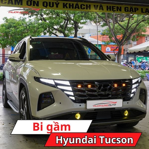 Bi Gầm Hyundai Tucson