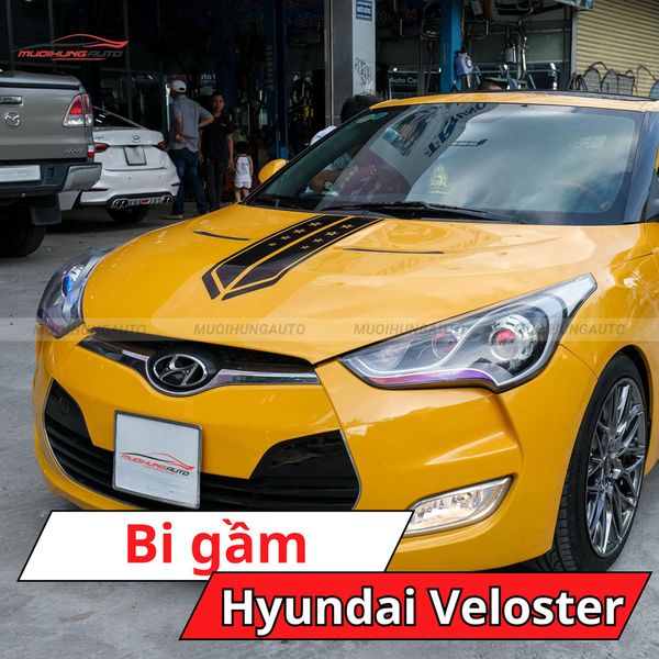Bi Gầm Hyundai Veloster